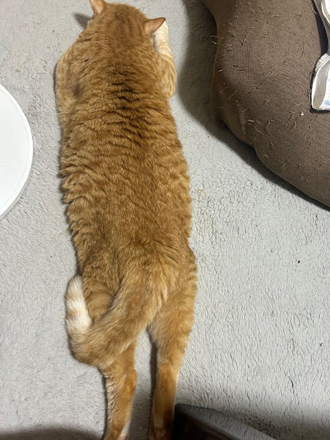 image1.jpeg